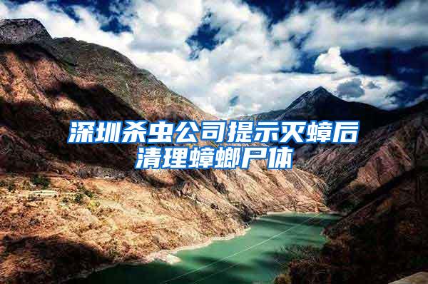 深圳殺蟲公司提示滅蟑后清理蟑螂尸體