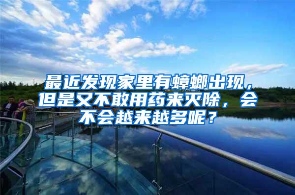 最近發(fā)現(xiàn)家里有蟑螂出現(xiàn)，但是又不敢用藥來滅除，會不會越來越多呢？