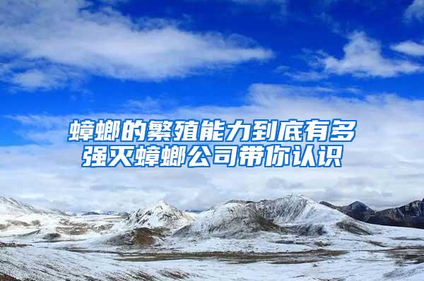 蟑螂的繁殖能力到底有多強滅蟑螂公司帶你認(rèn)識