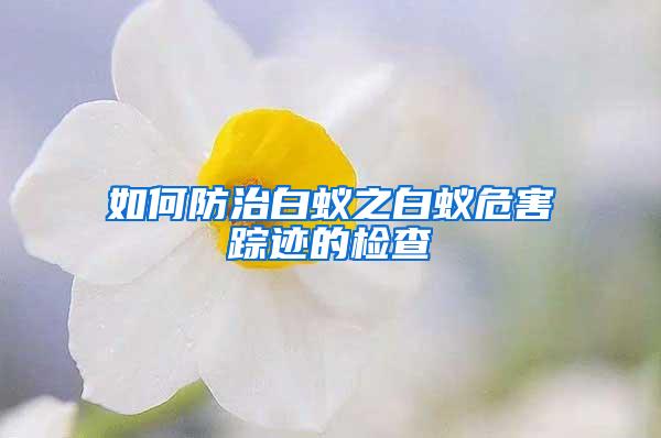 如何防治白蟻之白蟻危害蹤跡的檢查