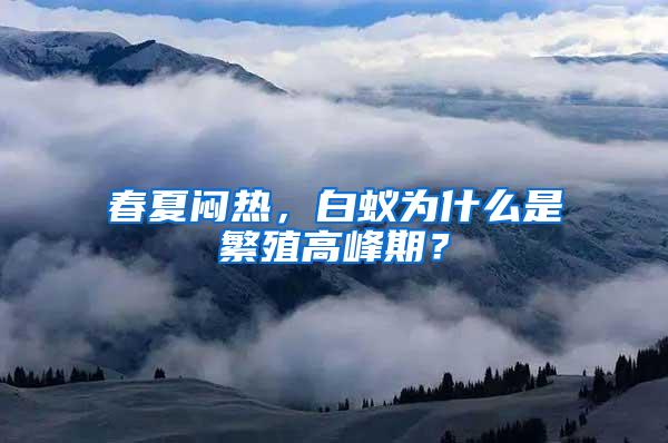 春夏悶熱，白蟻為什么是繁殖高峰期？