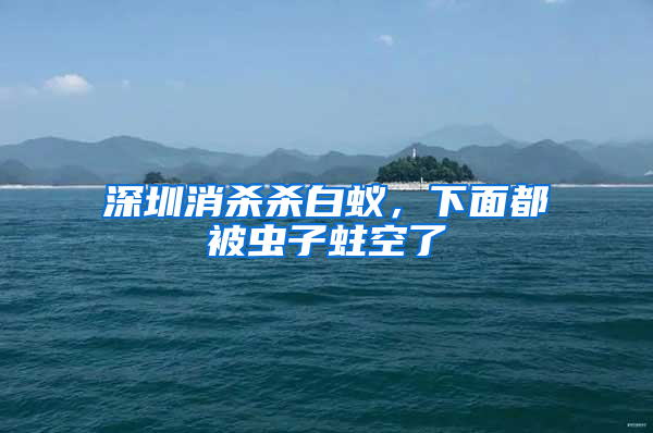 深圳消殺殺白蟻，下面都被蟲子蛀空了