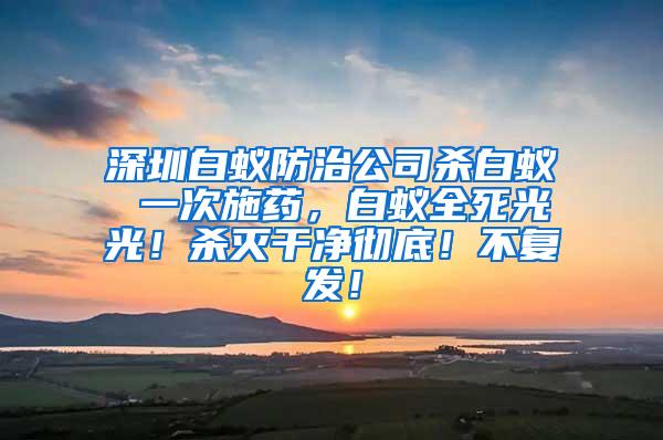 深圳白蟻防治公司殺白蟻 一次施藥，白蟻全死光光！殺滅干凈徹底！不復發！