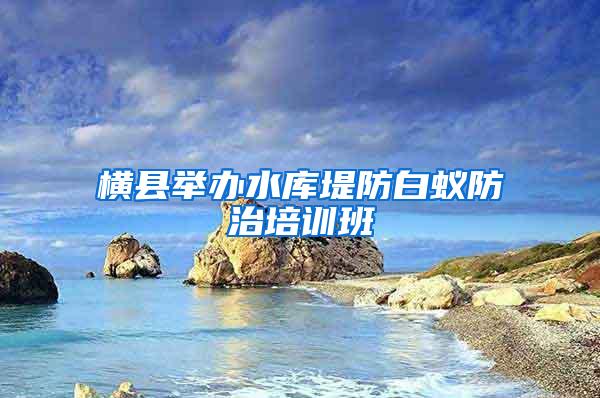 橫縣舉辦水庫堤防白蟻防治培訓班