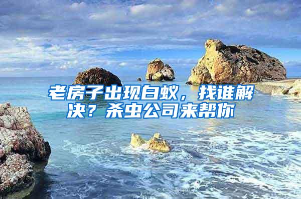 老房子出現白蟻，找誰解決？殺蟲公司來幫你