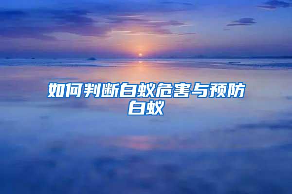 如何判斷白蟻危害與預防白蟻