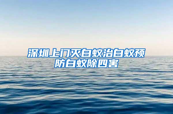 深圳上門滅白蟻治白蟻預防白蟻除四害