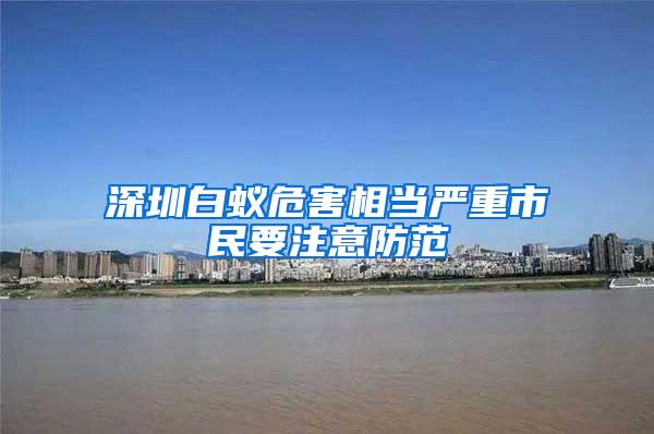 深圳白蟻危害相當嚴重市民要注意防范