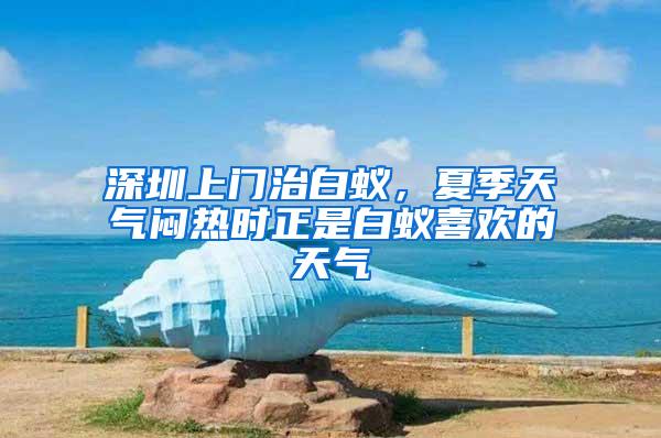 深圳上門治白蟻，夏季天氣悶熱時正是白蟻喜歡的天氣