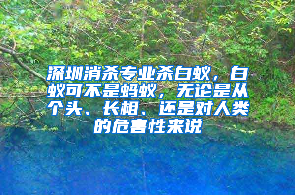 深圳消殺專業(yè)殺白蟻，白蟻可不是螞蟻，無論是從個(gè)頭、長相、還是對(duì)人類的危害性來說