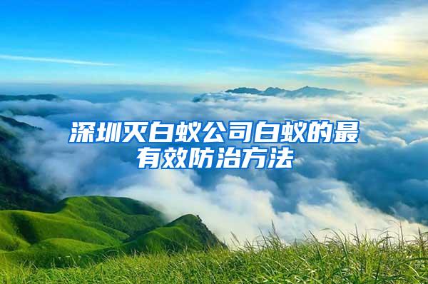 深圳滅白蟻公司白蟻的最有效防治方法