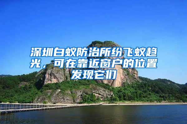 深圳白蟻防治所紛飛蟻趨光，可在靠近窗戶的位置發現它們