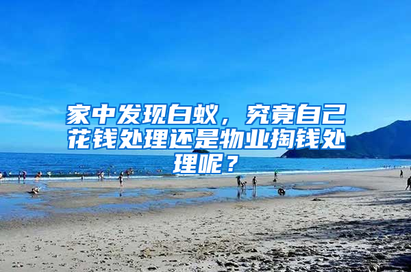 家中發現白蟻，究竟自己花錢處理還是物業掏錢處理呢？