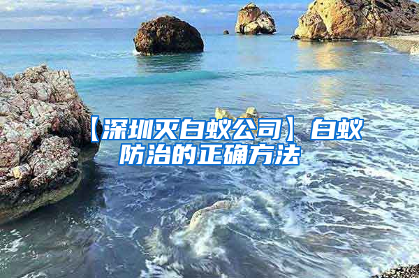 【深圳滅白蟻公司】白蟻防治的正確方法