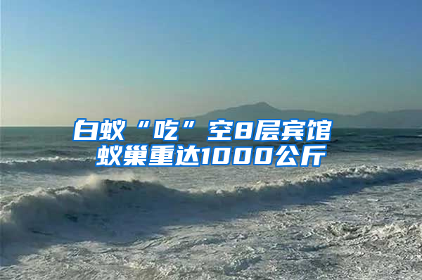 白蟻“吃”空8層賓館 蟻巢重達1000公斤