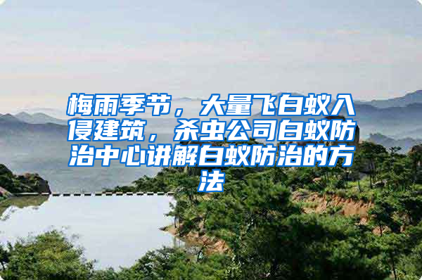 梅雨季節(jié)，大量飛白蟻入侵建筑，殺蟲公司白蟻防治中心講解白蟻防治的方法