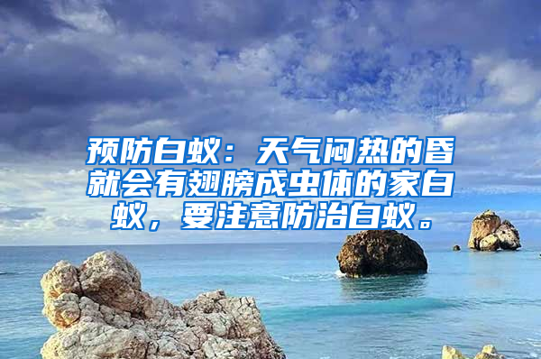 預防白蟻：天氣悶熱的昏就會有翅膀成蟲體的家白蟻，要注意防治白蟻。