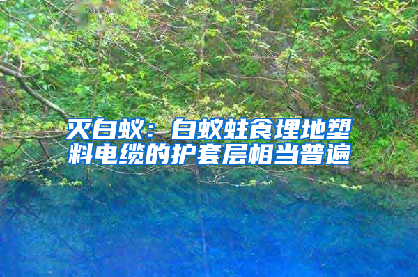 滅白蟻：白蟻蛀食埋地塑料電纜的護套層相當普遍