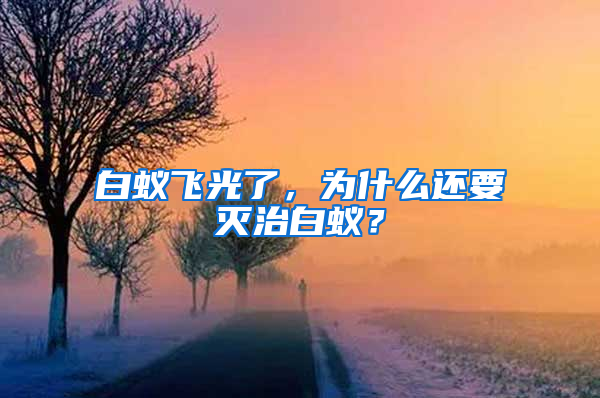 白蟻飛光了，為什么還要滅治白蟻？