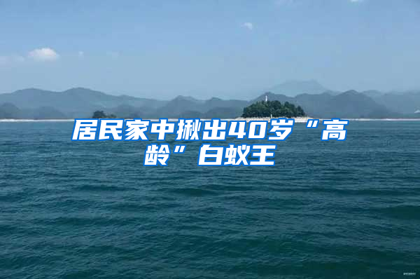 居民家中揪出40歲“高齡”白蟻王