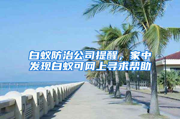 白蟻防治公司提醒，家中發現白蟻可網上尋求幫助