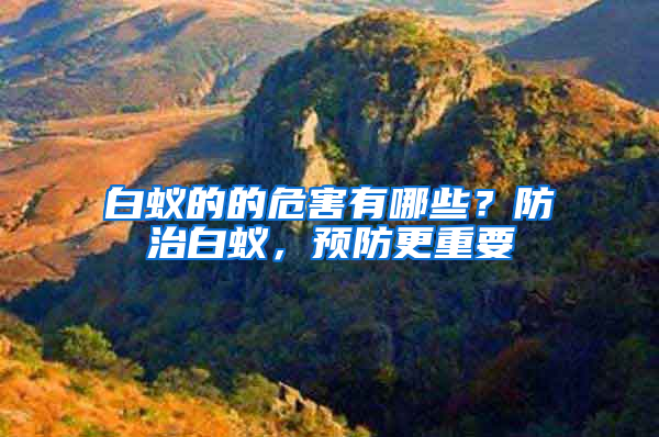 白蟻的的危害有哪些？防治白蟻，預防更重要