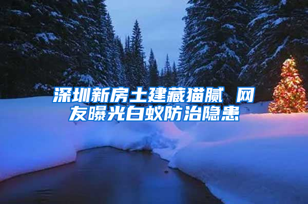 深圳新房土建藏貓膩 網友曝光白蟻防治隱患