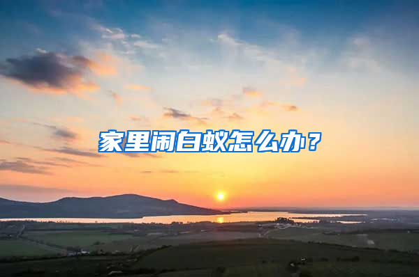 家里鬧白蟻怎么辦？