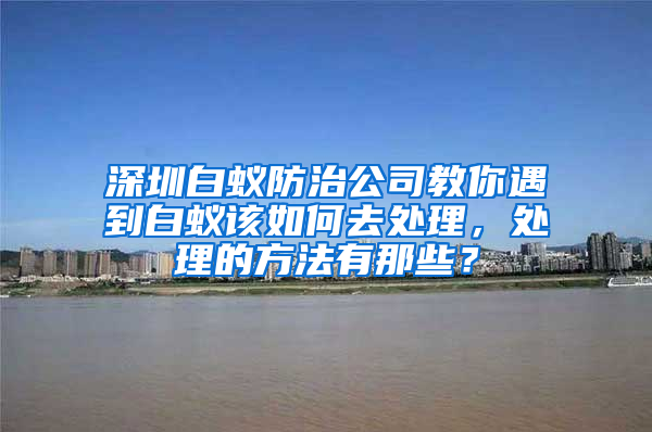 深圳白蟻防治公司教你遇到白蟻該如何去處理，處理的方法有那些？