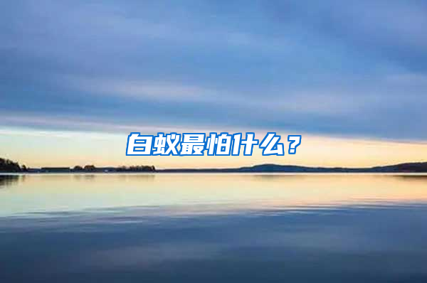 白蟻最怕什么？