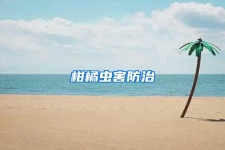 柑橘蟲害防治