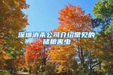 深圳消殺公司介紹常見的儲糧害蟲