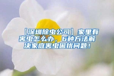 【深圳除蟲公司】家里有害蟲怎么辦，6種方法解決家庭害蟲困擾問題！