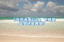 【龍崗殺蟲公司】飛蛾是益蟲還是害蟲？